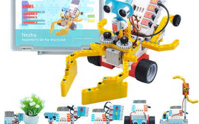 K6 to K15 Educational Robotics